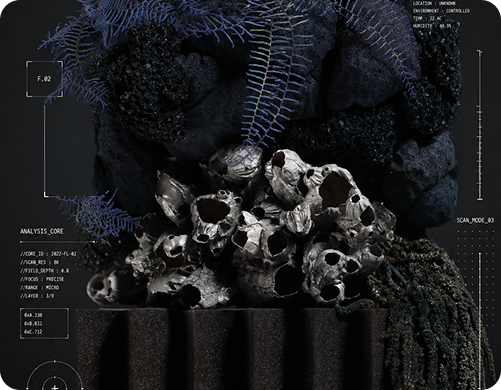 Sponge exhibition 03