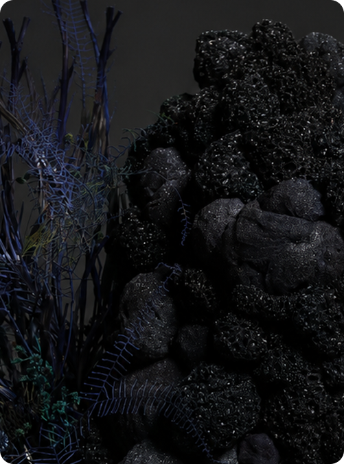 Sponge exhibition 04